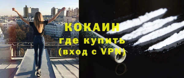 spice Богданович