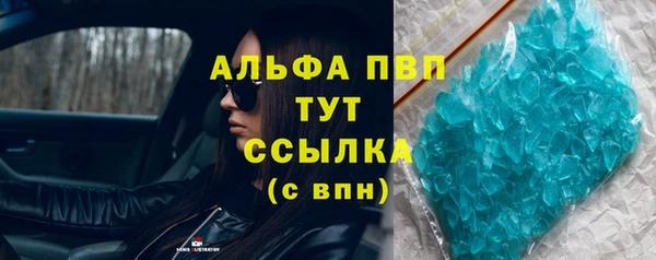 spice Богданович