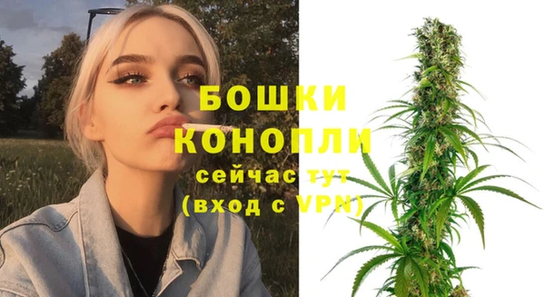 spice Богданович