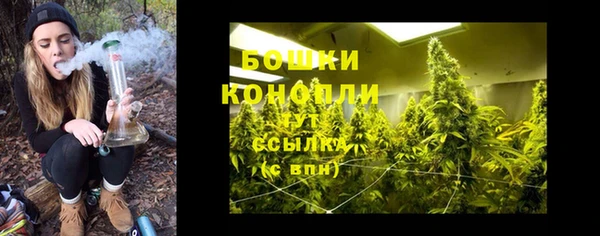 spice Богданович