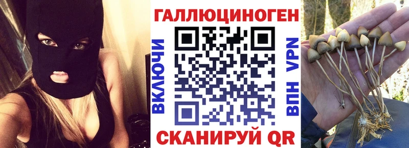 mega ТОР  Дорогобуж  Псилоцибиновые грибы Cubensis 