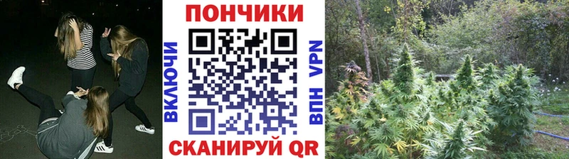 Бошки Шишки THC 21%  купить наркотики цена  Дорогобуж 